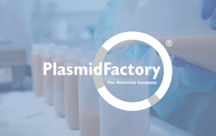 PlasmidFactory